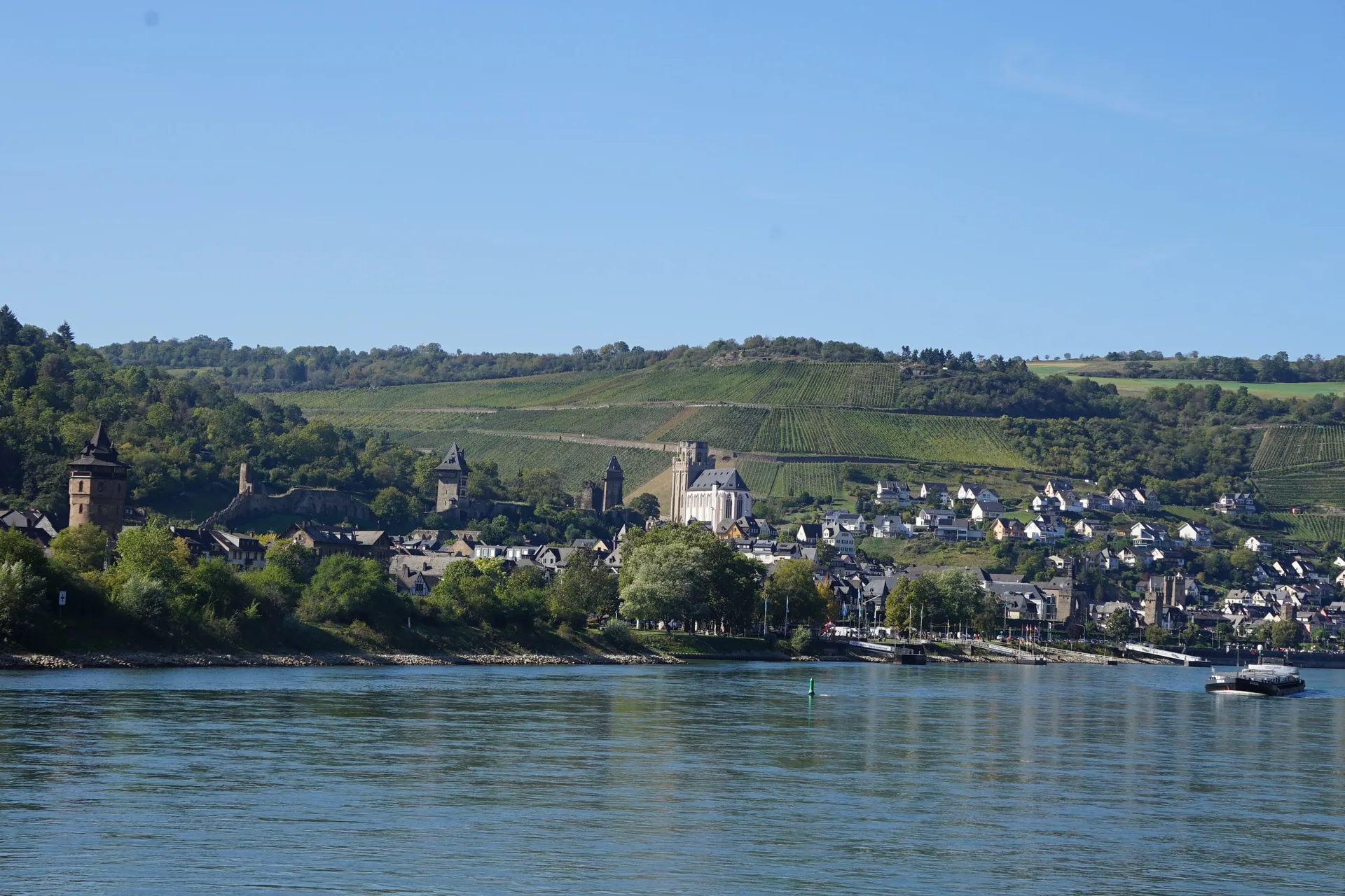 A town on the far bank of the Rhine under a hill castle, vineyards above it.